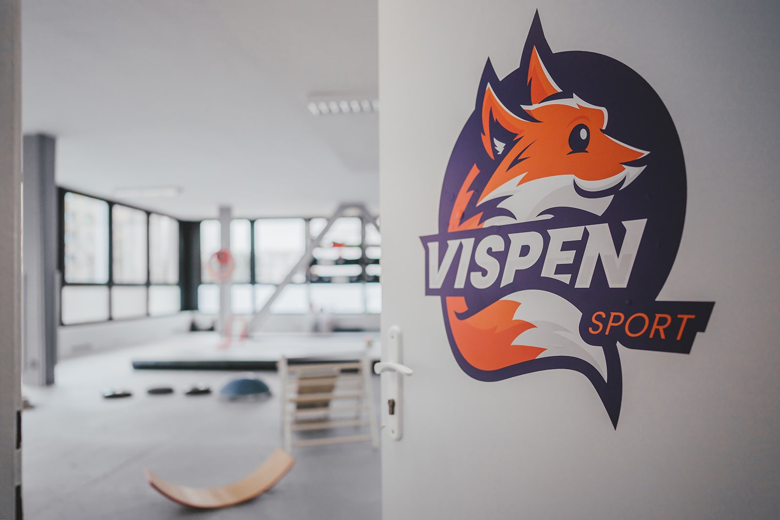 Více o sportovní organizaci z Hradce Králové a Pardubic - Vispen